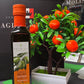 Olivolja Apelsin 0,25L