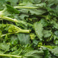 Cime di rapa 180 Gr