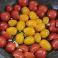 Pomodori gialli/ rossi al naturale  590g