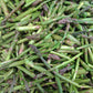 Vild sparris 200g