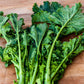 Cime di rapa 180 Gr