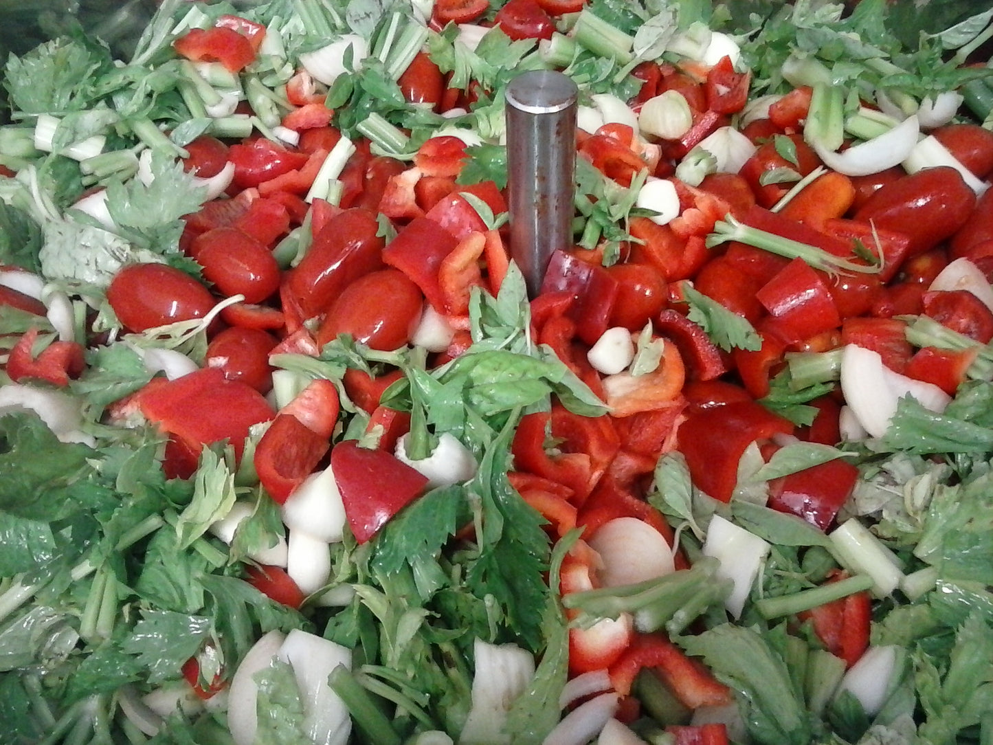 Salsa mediterranea 430g